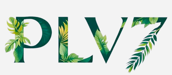 PLV7